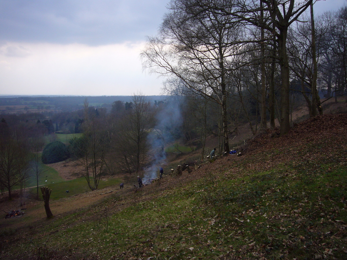 Clearing Brash at Deepdene Terrace - After (almost) (28/3/13)